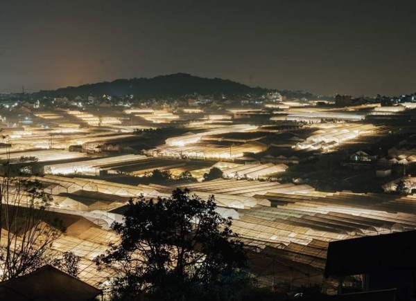 비닐하우스로 각종야채와 과일,꽃등이 년중 재배가 된다. @뉴스코리아 이웅연 특파원 