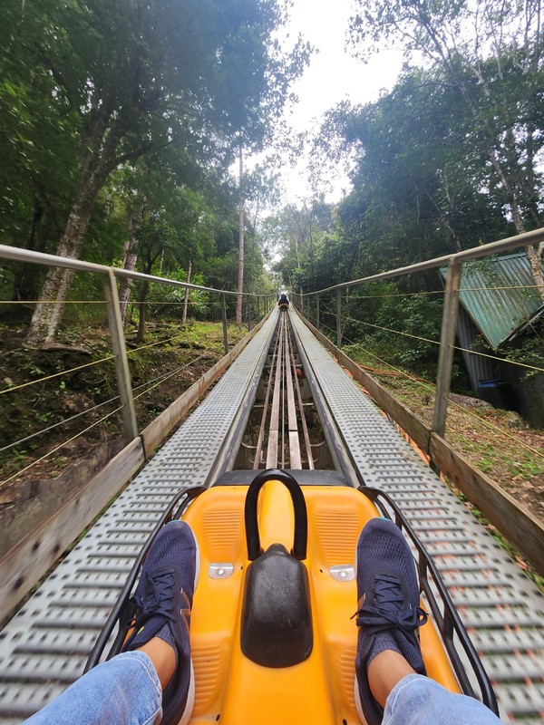 달랏 소나무숲 사이사이를 씽씽 달리는 루지를 타고, 다딴라폭포에 다녀올수있다. @뉴스코리아 이웅연 특파원 