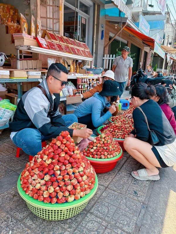 달랏을 관광하다보면 여기저기 딸기농장앞이나 길거리등에서 딸기를 많이 판매한다. 노지 딸기라 신맛이 강해 설탕을 찍어서 먹는다. @뉴스코리아 이웅연 특파원 