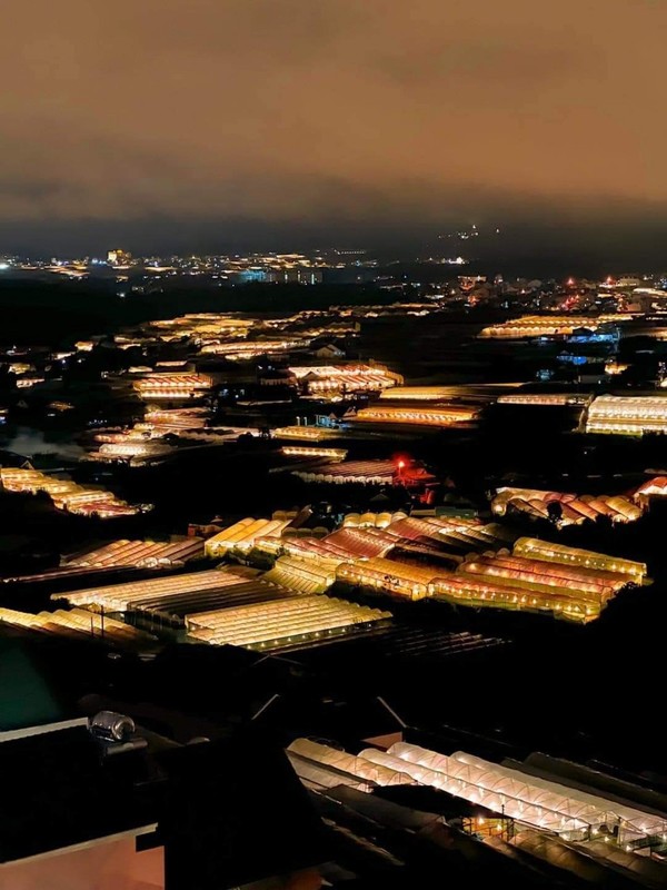 비닐하우스의 불빛이 달랏의 밤을 수놓는다. 