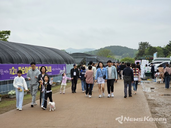 '2024 화순 고인돌 봄꽃축제 현장을 찾은 관람객들 모습 @뉴스코리아 최신 기자