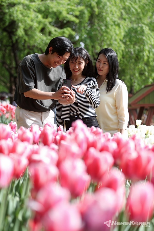 인생샷 명소 ‘2024고양국제꽃박람회’ @고양시