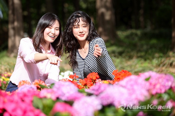  인생샷 명소 ‘2024고양국제꽃박람회’ @고양시