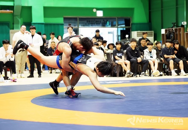 변화와 혁신’으로 빛났다 … 경기도체육대회 2024 파주, 성황리에 막 내려 @파주시