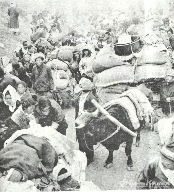 6.25 전쟁 피난광경 @뉴스코리아 포토 DB