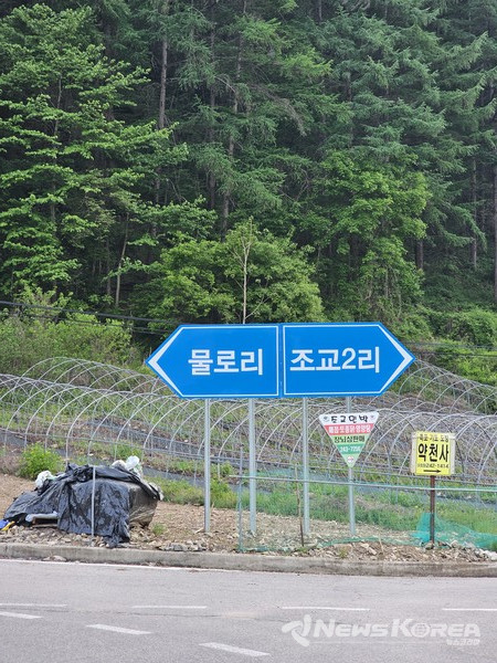 30여년만에 기억에 의존하면 다시 찾은 이 길이, 과거 걸어서 넘던 그 험준한 산길이라는것이 새삼스레 감회가 새롭게 다가온다. 이 길을 자동차로 다시 오게 될것이라고는 한번도 생각해 본적이 없었다. @뉴스코리아 최신 기자