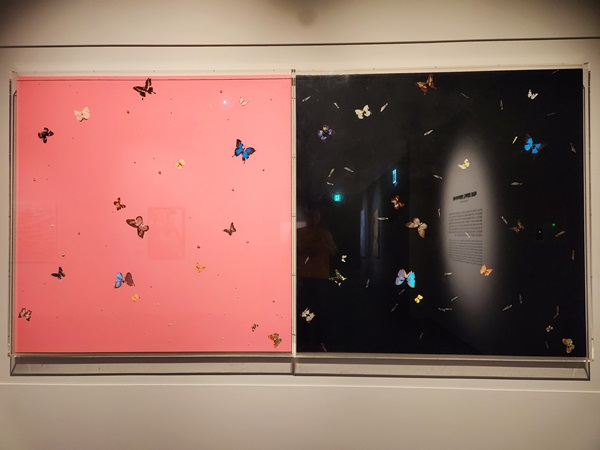 데미안 허스트. 키스미 킬미. 2008. 두폭 제단화. 캔버스에 나비, 가공된 다이아몬드, 수술용 메스의 날과 가정용 광택제. 각 152.4 x 152.4 cm, 전체 152.4 x 304.8 cm   @뉴스코리아 허승규 기자