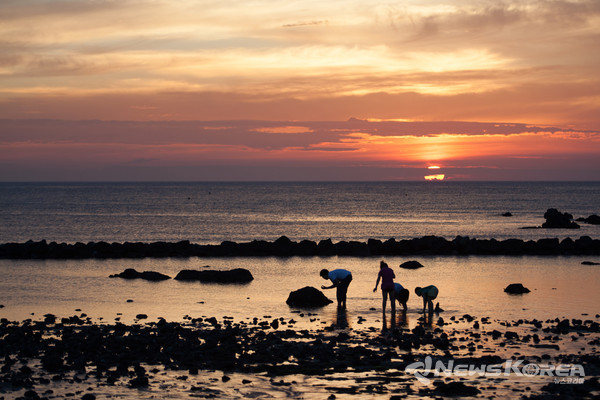 ▶ 이호테우해수욕장 : 제주시 이호일동 @제주관광공사