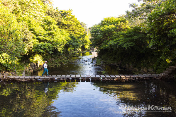▶ 정모시 : 서귀포시 칠십리로 156-8  @제주관광공사