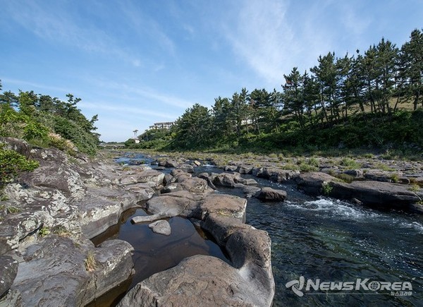 ▶ 강정천 : 서귀포시 강정통물로 @제주관광공사