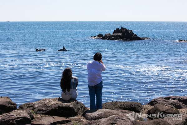 ▶ 영락리 포구 : 서귀포시 무릉중앙로21번길 190 @제주관광공사