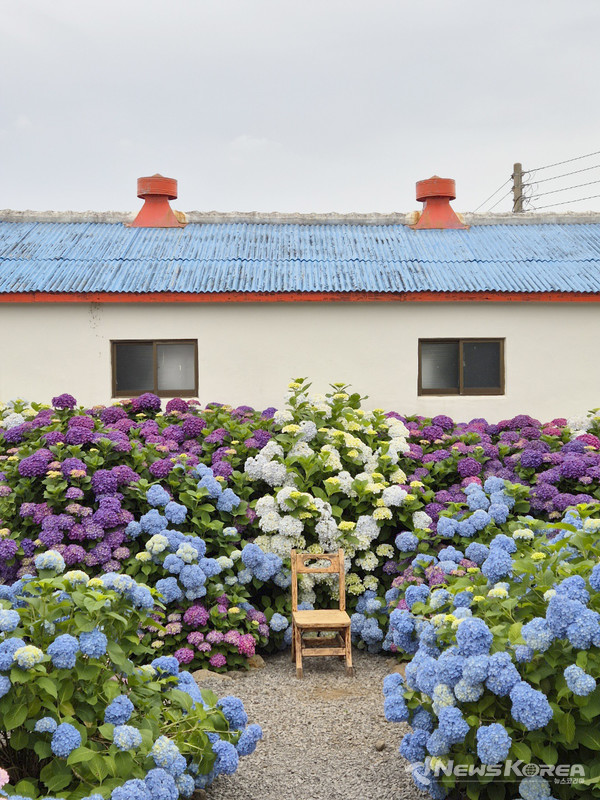▶답다니 : 서귀포시 월평로 50번길 17-30 @제주관광공사