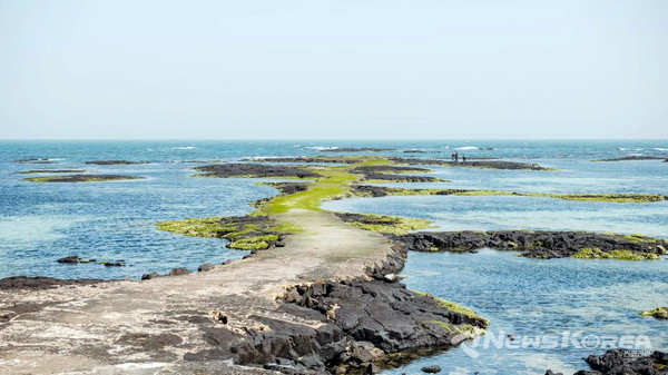 ▶ 떠오르길 : 제주시 구좌읍 김녕로 1길 51-3(봉지동 복지회관) * 간조시간에만 수면위로 떠오르기에 방문 전 물 때 시간 확인 필요  @제주관광공사