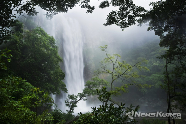 ▶ 엉또폭포 : 서귀포시 염돈로 121-8 (강정동) @제주관광공사