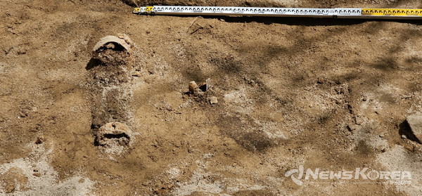 향미고 내 목모포 부재 출토 현황 @고양시