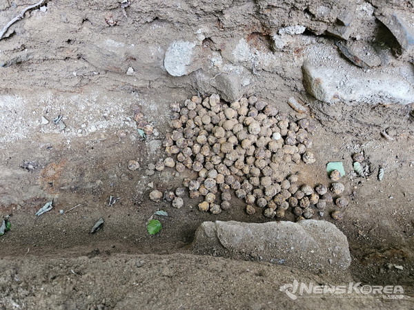 향미고 철환 출토 상태 @고양시