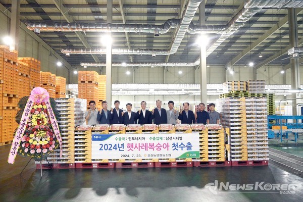 ‘햇사레 복숭아’ 264상자 인도네시아 수출 @음성군