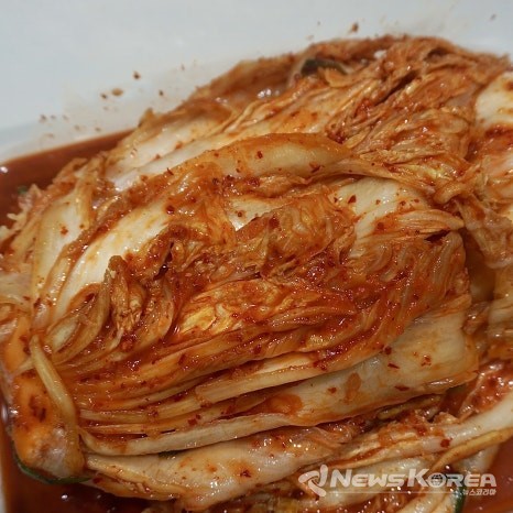 김치 @뉴스코리아 포토DB