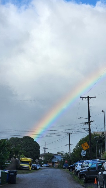 하와이 무지개는 청정한 브랜드다. @뉴스코리아 김무성 기자