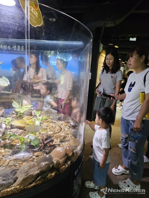 음성군가족센터, 다문화가족 문화체험 @음성군