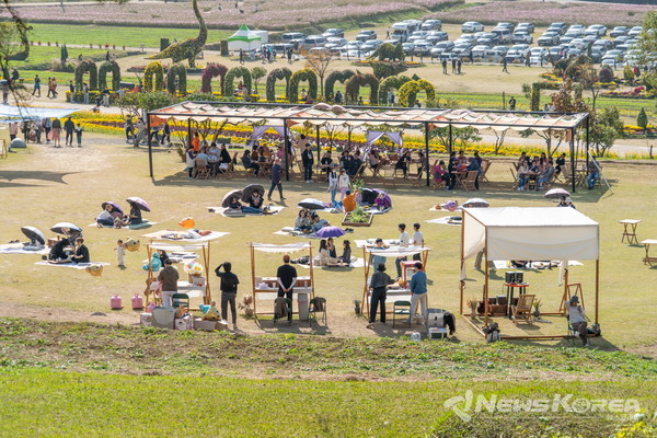 2023 화순 고인돌 가을꽃 축제장 전경 @화순군