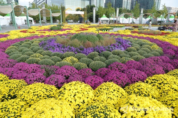 고양 일산호수공원에서 ‘2024가을꽃축제’ 개최 @고양시