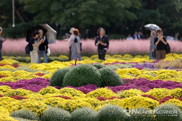 고양 일산호수공원에서 ‘2024가을꽃축제’ 개최 @고양시