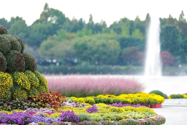 고양 일산호수공원에서 ‘2024가을꽃축제’ 개최 @고양시