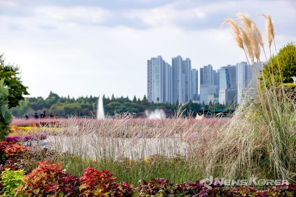 고양 일산호수공원에서 ‘2024가을꽃축제’ 개최 @고양시