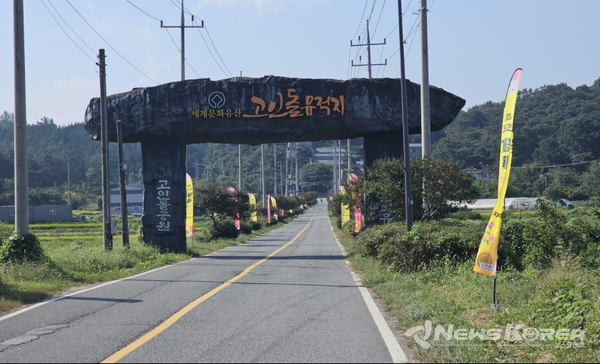 2023 화순 고인돌 가을꽃 축제장 대형 포스터 @화순군