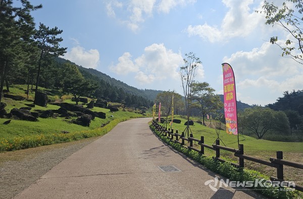 2024 화순 고인돌 가을꽃 축제장 대형 조형 깃발 @화순군