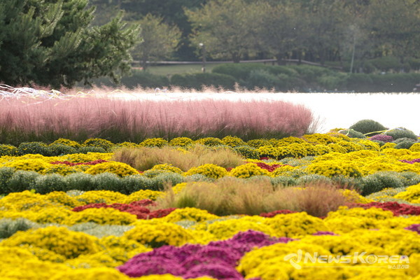 ‘고양가을꽃축제'가 열리는 일산호수공원 @고양시