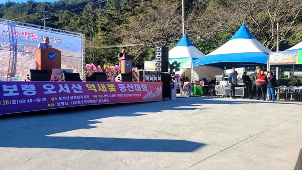 26일 보령시 청소면 소재 오서산 일대에서 제6회 '보령 오서산 억새꽃 등산대회'가 지역민들의 큰 호응 속에 열렸다. @조장현 보령시의원 제공