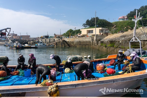 바다로 향할 채비를 하는 해녀들 @충남역사문화연구원