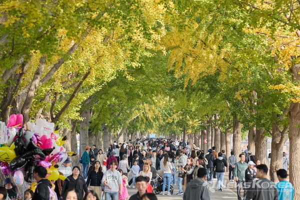 아산시 “황금빛 문화예술 속으로 스며들다” @아산시