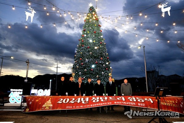 음성군, 음성문화예술회관에 성탄 트리 점등 @음성군