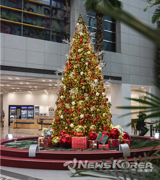 크리스마스트리 @파주시