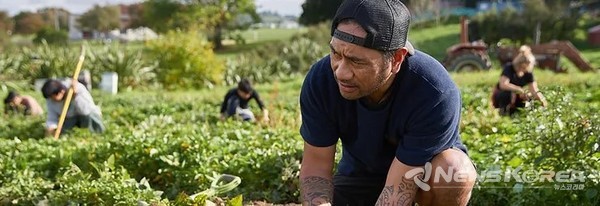 먹거리 채집 @위클리코리아