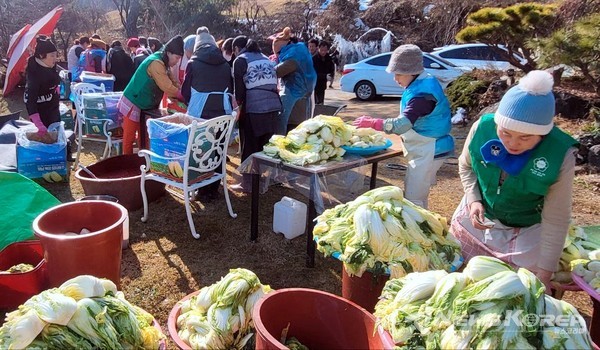 IWPG 글로벌 1국 직원들과 강동지부,환경문화시민연대 봉사자들이 사랑 나눔 김장 봉사를 하고 있다. @IWPG