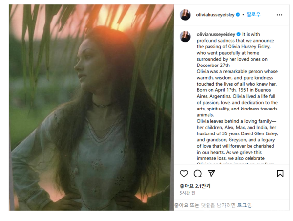 @올리비아 핫세 인스타그램