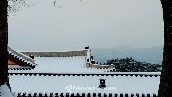 경복궁 @뉴스코리아 허승규 기자