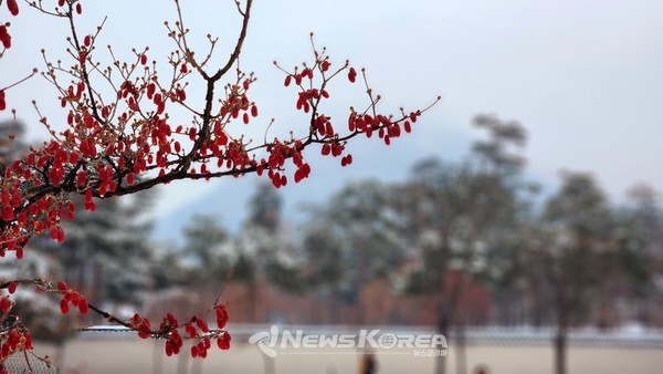 경복궁 @뉴스코리아 허승규 기자