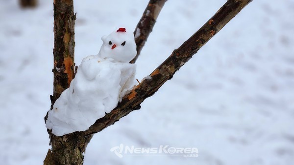 경복궁 @뉴스코리아 허승규 기자