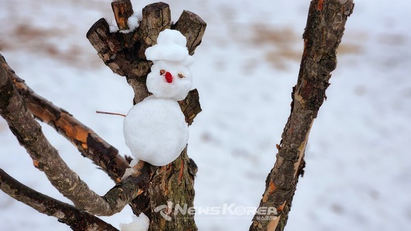 경복궁 @뉴스코리아 허승규 기자