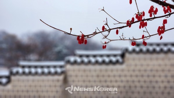 경복궁 @뉴스코리아 허승규 기자