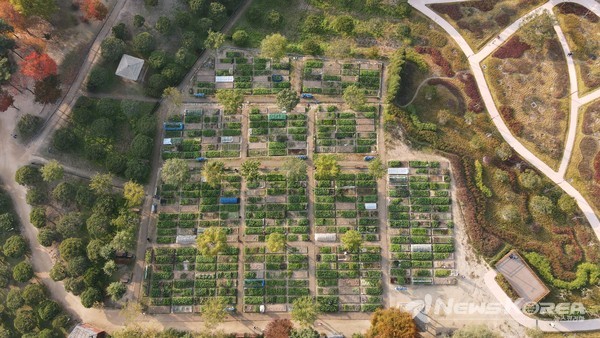 ▲초안산 나눔텃밭 @도봉구