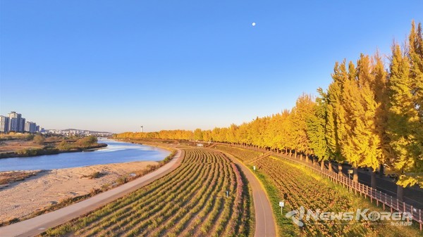아산시 곡교천 자전거길 모습 @아산시