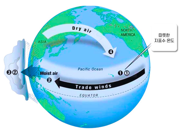 하와이의 날씨가 일년 내내 좋을 수 있는 이유는 ‘무역풍'의 영향 때문이다.   @팜투어