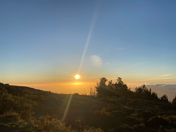 마우이 할레아칼라 일출   @팜투어