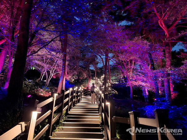 수원시 팔달산 회주도로에서 서장대까지 연결하는 숲속 별빛산책로에 조명이 켜진 모습. @수원시